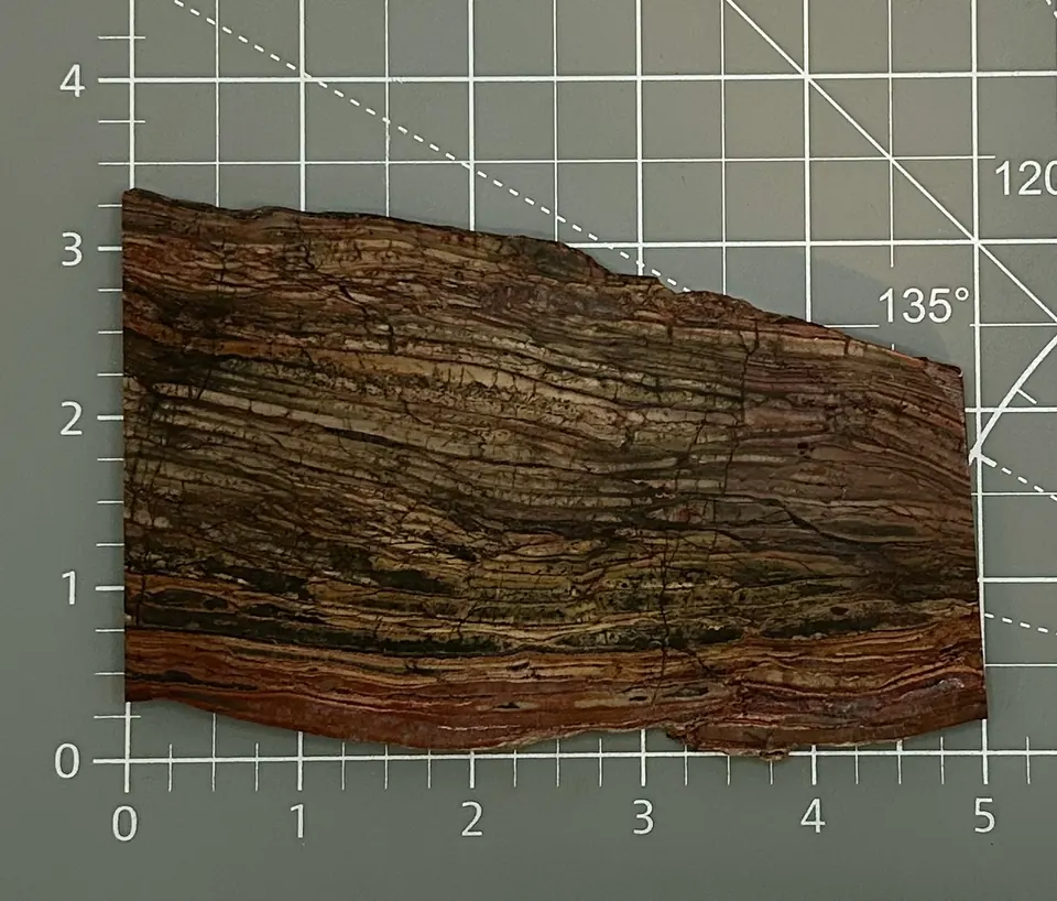 Banded Rhyolite